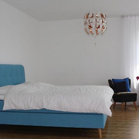 Das Blaue Haus - Ferienwohnung Schoenherr 卡塞尔 外观 照片